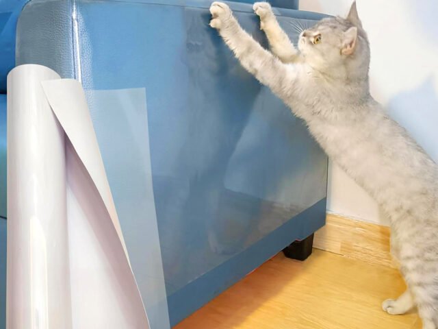 How to Stop Cats from Scratching Furniture: Try Anti Scratch Tape